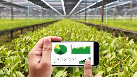 &Alpha;&pi;&tau;ά &alpha;&pi;&omicron;&tau;&epsilon;&lambda;έ&sigma;&mu;&alpha;&tau;&alpha; &gamma;&iota;&alpha; &tau;&omicron; Έ&rho;&gamma;&omicron; &laquo;&Gamma;&epsilon;&omega;&rho;&gamma;ί&alpha; &mu;&epsilon; &Epsilon;&upsilon;&phi;&upsilon;ΐ&alpha;&raquo; - &Psi;&eta;&phi;&iota;&alpha;&kappa;ό&sigmaf; &Mu;&epsilon;&tau;&alpha;&sigma;&chi;&eta;&mu;&alpha;&tau;&iota;&sigma;&mu;ό&sigmaf; &tau;&omicron;&upsilon; &Gamma;&epsilon;&omega;&rho;&gamma;&iota;&kappa;&omicron;ύ &Tau;&omicron;&mu;έ&alpha;