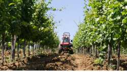 &Gamma;&epsilon;&omega;&rho;&gamma;&iota;&kappa;έ&sigmaf; &Pi;&rho;&omicron;&epsilon;&iota;&delta;&omicron;&pi;&omicron;&iota;ή&sigma;&epsilon;&iota;&sigmaf; &gamma;&iota;&alpha; &tau;&eta; &Mu;&eta;&lambda;&iota;ά, &Alpha;&chi;&lambda;&alpha;&delta;&iota;ά &kappa;&alpha;&iota; &Kappa;&upsilon;&delta;&omega;&nu;&iota;ά