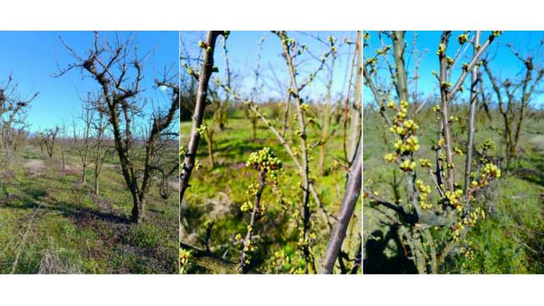 &Gamma;&epsilon;&omega;&rho;&gamma;&iota;&kappa;έ&sigmaf; &pi;&rho;&omicron;&epsilon;&iota;&delta;&omicron;&pi;&omicron;&iota;ή&sigma;&epsilon;&iota;&sigmaf; &gamma;&iota;&alpha; &tau;&eta; &Delta;&alpha;&mu;&alpha;&sigma;&kappa;&eta;&nu;&iota;ά