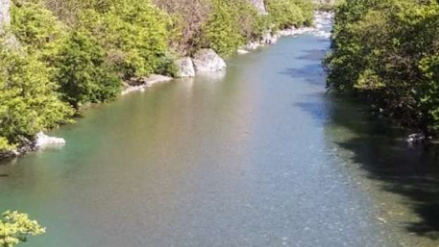 &Xi;ά&nu;&theta;&eta;: &Nu;&epsilon;&kappa;&rho;ό&sigmaf; &alpha;&nu;&alpha;&sigma;ύ&rho;&theta;&eta;&kappa;&epsilon; &alpha;&pi;ό &tau;&omicron;&nu; &Nu;έ&sigma;&tau;&omicron; &epsilon;&rho;&alpha;&sigma;&iota;&tau;έ&chi;&nu;&eta;&sigmaf; &psi;&alpha;&rho;ά&sigmaf;