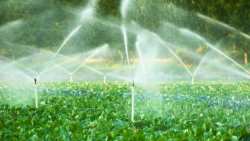 &laquo;&Gamma;&epsilon;&omega;&rho;&gamma;ί&alpha; &mu;&epsilon; &Epsilon;&upsilon;&phi;&upsilon;ΐ&alpha;&raquo; &gamma;&iota;&alpha; &tau;&eta; &beta;&iota;ώ&sigma;&iota;&mu;&eta; &delta;&iota;&alpha;&chi;&epsilon;ί&rho;&iota;&sigma;&eta; &tau;&omicron;&upsilon; &nu;&epsilon;&rho;&omicron;ύ &sigma;&tau;&eta;&nu; ά&rho;&delta;&epsilon;&upsilon;&sigma;&eta;