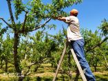 &Epsilon;&pi;&alpha;&nu;&alpha;&lambda;&epsilon;&iota;&tau;&omicron;&upsilon;&rho;&gamma;&epsilon;ί &tau;&omicron; &tau;&epsilon;&lambda;&omega;&nu;&epsilon;ί&omicron; &tau;&eta;&sigmaf; &Kappa;&rho;&upsilon;&sigma;&tau;&alpha;&lambda;&lambda;&omicron;&pi;&eta;&gamma;ή&sigmaf; - &Delta;&iota;&alpha;&kappa;ό&sigma;&iota;&omicron;&iota; &epsilon;&rho;&gamma;ά&tau;&epsilon;&sigmaf; &gamma;&eta;&sigmaf; &epsilon;&iota;&sigma;ή&lambda;&theta;&alpha;&nu; &sigma;&tau;&eta;&nu; &Epsilon;&lambda;&lambda;ά&delta;&alpha;