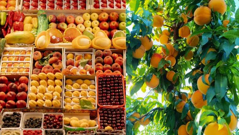 &Alpha;&upsilon;&xi;&eta;&mu;έ&nu;&epsilon;&sigmaf; &tau;&iota;&mu;έ&sigmaf; &pi;&rho;&omicron;ϊό&nu;&tau;&omega;&nu; &kappa;&alpha;&iota; &gamma;&iota;&alpha; &tau;&omicron;&upsilon;&sigmaf; &pi;&alpha;&rho;&alpha;&gamma;&omega;&gamma;&omicron;ύ&sigmaf; ή &mu;ό&nu;&omicron; &sigma;&tau;&omicron; &rho;ά&phi;&iota;; (&Beta;ί&nu;&tau;&epsilon;&omicron;)