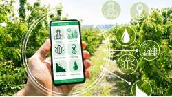 &Alpha;&gamma;&rho;&omicron;&tau;&epsilon;&chi;&nu;&omicron;&lambda;&omicron;&gamma;ί&alpha; &kappa;&alpha;&iota; &pi;&rho;&omicron;&sigma;&beta;&alpha;&sigma;&iota;&mu;ό&tau;&eta;&tau;&alpha; &tau;&omega;&nu; &Epsilon;&lambda;&lambda;ή&nu;&omega;&nu; &alpha;&gamma;&rho;&omicron;&tau;ώ&nu; - &Epsilon;&rho;ώ&tau;&eta;&sigma;&eta; &Epsilon;&mu;&mu;&alpha;&nu;&omicron;&upsilon;ή&lambda; &Phi;&rho;ά&gamma;&kappa;&omicron;&upsilon;