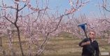 &Alpha;&rho;&alpha;ί&omega;&mu;&alpha; &sigma;&tau;&omicron; &sigma;&tau;ά&delta;&iota;&omicron; &tau;&eta;&sigmaf; &alpha;&nu;&theta;&omicron;&phi;&omicron;&rho;ί&alpha;&sigmaf; &mu;&epsilon; &rho;&alpha;&beta;&delta;&iota;&sigma;&tau;&iota;&kappa;ό &mu;&eta;&chi;ά&nu;&eta;&mu;&alpha; &sigma;&epsilon; &pi;&epsilon;&rho;&iota;&omicron;&chi;έ&sigmaf; &tau;&eta;&sigmaf; &Eta;&mu;&alpha;&theta;ί&alpha;&sigmaf; (&Beta;ί&nu;&tau;&epsilon;&omicron;)