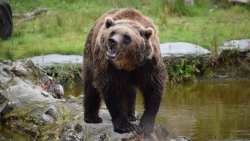 &Delta;&rho;&alpha;&mu;&alpha;&tau;&iota;&kappa;ή &alpha;ύ&xi;&eta;&sigma;&eta; &tau;&omega;&nu; &epsilon;&pi;&iota;&theta;έ&sigma;&epsilon;&omega;&nu; &alpha;&pi;ό &alpha;&rho;&kappa;&omicron;ύ&delta;&epsilon;&sigmaf; &sigma;&tau;&eta;&nu; &Iota;&alpha;&pi;&omega;&nu;ί&alpha; - &Tau;&eta; &sigma;&upsilon;&nu;&delta;&rho;&omicron;&mu;ή &tau;&omicron;&upsilon; &sigma;&tau;&rho;&alpha;&tau;&omicron;ύ &gamma;&iota;&alpha; &epsilon;&xi;ό&nu;&tau;&omega;&sigma;&eta; &tau;&omicron;&upsilon;&sigmaf; &zeta;&eta;&tau;ά &omicron; &Pi;&epsilon;&rho;&iota;&phi;&epsilon;&rho;&epsilon;&iota;ά&rho;&chi;&eta;&sigmaf;