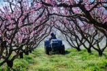 &Sigma;&epsilon; &delta;&iota;&alpha;&beta;&omicron;ύ&lambda;&epsilon;&upsilon;&sigma;&eta; &tau;&omicron; &nu;έ&omicron;, &epsilon;&kappa;&sigma;&upsilon;&gamma;&chi;&rho;&omicron;&nu;&iota;&sigma;&mu;έ&nu;&omicron; &Epsilon;&theta;&nu;&iota;&kappa;ό &Sigma;&chi;έ&delta;&iota;&omicron; &Delta;&rho;ά&sigma;&eta;&sigmaf; &gamma;&iota;&alpha; &tau;&eta;&nu; &omicron;&rho;&theta;&omicron;&lambda;&omicron;&gamma;&iota;&kappa;ή &chi;&rho;ή&sigma;&eta; &gamma;&epsilon;&omega;&rho;&gamma;&iota;&kappa;ώ&nu; &phi;&alpha;&rho;&mu;ά&kappa;&omega;&nu;