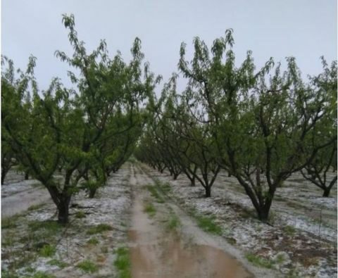 &Upsilon;&pi;&omicron;&beta;&omicron;&lambda;ή &delta;&eta;&lambda;ώ&sigma;&epsilon;&omega;&nu; &zeta;&eta;&mu;&iota;ά&sigmaf; &alpha;&pi;ό &chi;&alpha;&lambda;ά&zeta;&iota; &tau;&eta;&sigmaf; 15 &Mu;&alpha;ϊ&omicron;&upsilon; 2019