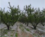 &Upsilon;&pi;&omicron;&beta;&omicron;&lambda;ή &delta;&eta;&lambda;ώ&sigma;&epsilon;&omega;&nu; &zeta;&eta;&mu;&iota;ά&sigmaf; &alpha;&pi;ό &chi;&alpha;&lambda;ά&zeta;&iota; &tau;&eta;&sigmaf; 15 &Mu;&alpha;ϊ&omicron;&upsilon; 2019