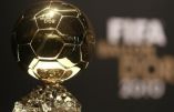 &Alpha;&upsilon;&tau;&omicron;ί &epsilon;ί&nu;&alpha;&iota; &omicron;&iota; 5 &pi;&rho;ώ&tau;&omicron;&iota; &upsilon;&pi;&omicron;&psi;ή&phi;&iota;&omicron;&iota; &gamma;&iota;&alpha; &tau;&eta; "&Chi;&rho;&upsilon;&sigma;ή &mu;&pi;ά&lambda;&alpha;"