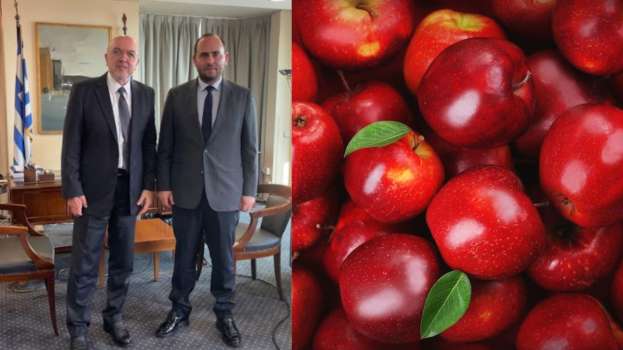 &Sigma;&upsilon;&nu;ά&nu;&tau;&eta;&sigma;&eta; &Beta;&alpha;&sigma;&iota;&lambda;&epsilon;&iota;ά&delta;&eta; &mu;&epsilon; &tau;&omicron;&nu; &Upsilon;&phi;&upsilon;&pi;&omicron;&upsilon;&rho;&gamma;ό &Epsilon;&xi;&omega;&tau;&epsilon;&rho;&iota;&kappa;ώ&nu; &gamma;&iota;&alpha; &tau;&omicron; &pi;&rho;ό&beta;&lambda;&eta;&mu;&alpha; &mu;&epsilon; &tau;&alpha; &mu;ή&lambda;&alpha; &kappa;&alpha;&iota; &tau;&eta;&nu; &epsilon;&xi;&epsilon;ύ&rho;&epsilon;&sigma;&eta; &alpha;&gamma;&omicron;&rho;ώ&nu; &gamma;&iota;&alpha; &tau;&alpha; &alpha;&gamma;&rho;&omicron;&tau;&iota;&kappa;ά &pi;&rho;&omicron;ϊό&nu;&tau;&alpha;