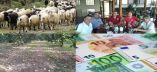 &Epsilon;&nu;&iota;&sigma;&chi;ύ&sigma;&epsilon;&iota;&sigmaf; &kappa;&tau;&eta;&nu;&omicron;&tau;&rho;ό&phi;&omega;&nu; &kappa;&alpha;&iota; &alpha;&pi;ώ&lambda;&epsilon;&iota;&alpha; &epsilon;&iota;&sigma;&omicron;&delta;ή&mu;&alpha;&tau;&omicron;&sigmaf; &rho;&omicron;&delta;&alpha;&kappa;&iota;&nu;&omicron;&pi;&alpha;&rho;&alpha;&gamma;&omega;&gamma;ώ&nu; &sigma;&tau;&eta;&nu; &epsilon;&kappa;&pi;&omicron;&mu;&pi;ή &Epsilon;&Pi;&Iota;&Lambda;&Omicron;&Gamma;&Epsilon;&Sigma; (&Beta;ί&nu;&tau;&epsilon;&omicron;)