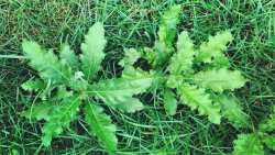 &Mu;&eta; &kappa;&alpha;&tau;&alpha;&pi;&omicron;&lambda;&epsilon;&mu;ά&tau;&epsilon; &tau;&alpha; 10 &zeta;&iota;&zeta;ά&nu;&iota;&alpha; &pi;&omicron;&upsilon; έ&chi;&omicron;&upsilon;&nu; &epsilon;&upsilon;&epsilon;&rho;&gamma;&epsilon;&tau;&iota;&kappa;έ&sigmaf; &iota;&delta;&iota;ό&tau;&eta;&tau;&epsilon;&sigmaf;