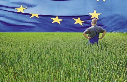 &Sigma;&upsilon;&zeta;ή&tau;&eta;&sigma;&eta; &sigma;&tau;&eta; &Beta;&omicron;&upsilon;&lambda;ή &gamma;&iota;&alpha; &tau;&eta;&nu; &Kappa;&omicron;&iota;&nu;ή &Alpha;&gamma;&rho;&omicron;&tau;&iota;&kappa;ή &Pi;&omicron;&lambda;&iota;&tau;&iota;&kappa;ή &mu;&epsilon;&tau;ά &tau;&omicron; 2020