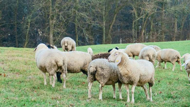 &Nu;έ&alpha; &epsilon;&nu;ί&sigma;&chi;&upsilon;&sigma;&eta; &tau;&omicron;&upsilon; &mu;&eta;&chi;&alpha;&nu;&iota;&sigma;&mu;&omicron;ύ &tau;&omicron;&upsilon; &Upsilon;&Pi;&Alpha;&Alpha;&Tau; &mu;&epsilon; 45 &pi;&rho;&omicron;&sigma;&lambda;ή&psi;&epsilon;&iota;&sigmaf; &gamma;&iota;&alpha; &tau;&eta;&nu; &alpha;&nu;&tau;&iota;&mu;&epsilon;&tau;ώ&pi;&iota;&sigma;&eta; &tau;&eta;&sigmaf; &epsilon;&upsilon;&lambda;&omicron;&gamma;&iota;ά&sigmaf; - &Omicron;&iota; &alpha;&iota;&tau;ή&sigma;&epsilon;&iota;&sigmaf; &xi;&epsilon;&kappa;&iota;&nu;&omicron;ύ&nu; &tau;&omicron; &Sigma;ά&beta;&beta;&alpha;&tau;&omicron; 28 &Mu;&alpha;&rho;&tau;ί&omicron;&upsilon;