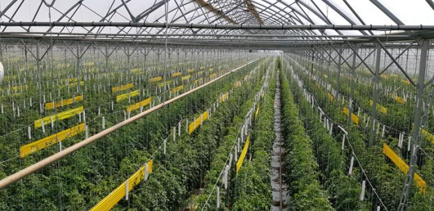 &Delta;&rho; &Nu;&iota;&kappa;. &Kappa;&alpha;&tau;&sigma;&omicron;ύ&lambda;&alpha;&sigmaf;: &laquo;&Delta;&epsilon;&nu; &delta;&iota;&kappa;&alpha;&iota;&omicron;&lambda;&omicron;&gamma;&epsilon;ί&tau;&alpha;&iota; &eta; &chi;ώ&rho;&alpha; &mu;&alpha;&sigmaf; &nu;&alpha; &epsilon;&iota;&sigma;ά&gamma;&epsilon;&iota; &tau;&omicron;&mu;ά&tau;&epsilon;&sigmaf; &tau;&omicron; &kappa;&alpha;&lambda;&omicron;&kappa;&alpha;ί&rho;&iota; &alpha;&pi;ό &tau;&eta;&nu; &Gamma;&epsilon;&rho;&mu;&alpha;&nu;ί&alpha; &kappa;&alpha;&iota; &tau;&omicron; &Beta;έ&lambda;&gamma;&iota;&omicron;&raquo;