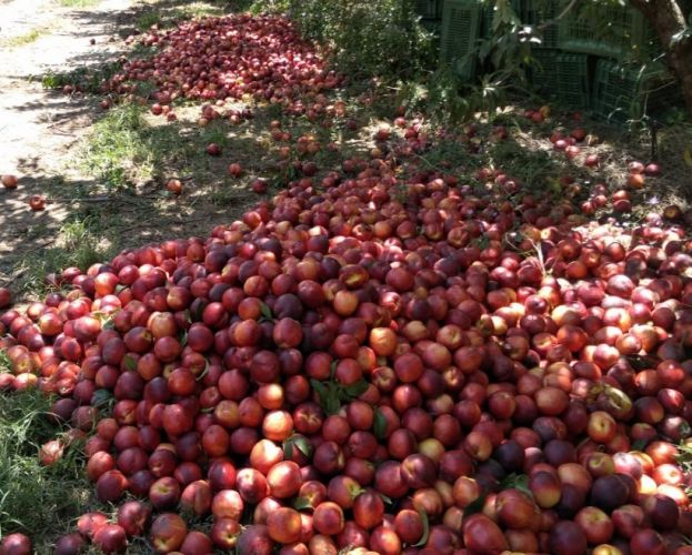 &Pi;&lambda;&eta;&rho;&omega;&mu;ή &kappa;&rho;&alpha;&tau;&iota;&kappa;ώ&nu; &epsilon;&nu;&iota;&sigma;&chi;ύ&sigma;&epsilon;&omega;&nu; ή&sigma;&sigma;&omicron;&nu;&omicron;&sigmaf; &sigma;&eta;&mu;&alpha;&sigma;ί&alpha;&sigmaf; 13,2 &epsilon;&kappa;&alpha;&tau;. &epsilon;&upsilon;&rho;ώ &sigma;&epsilon; 15.500 &rho;&omicron;&delta;&alpha;&kappa;&iota;&nu;&omicron;&pi;&alpha;&rho;&alpha;&gamma;&omega;&gamma;&omicron;ύ&sigmaf;