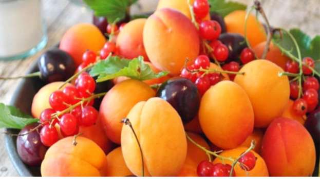 &Pi;&omega;&sigmaf; &kappa;&upsilon;&lambda;&omicron;ύ&nu; &omicron;&iota; &epsilon;&xi;&alpha;&gamma;&omega;&gamma;έ&sigmaf; &rho;&omicron;&delta;ά&kappa;&iota;&nu;&omega;&nu;, &nu;&epsilon;&kappa;&tau;&alpha;&rho;&iota;&nu;&iota;ώ&nu;, &kappa;&epsilon;&rho;&alpha;&sigma;&iota;ώ&nu;, &beta;&epsilon;&rho;ί&kappa;&omicron;&kappa;&omega;&nu;, &kappa;&alpha;&rho;&pi;&omicron;&upsilon;&zeta;&iota;ώ&nu; &kappa;&alpha;&iota; &nu;&tau;&omicron;&mu;ά&tau;&alpha;&sigmaf;