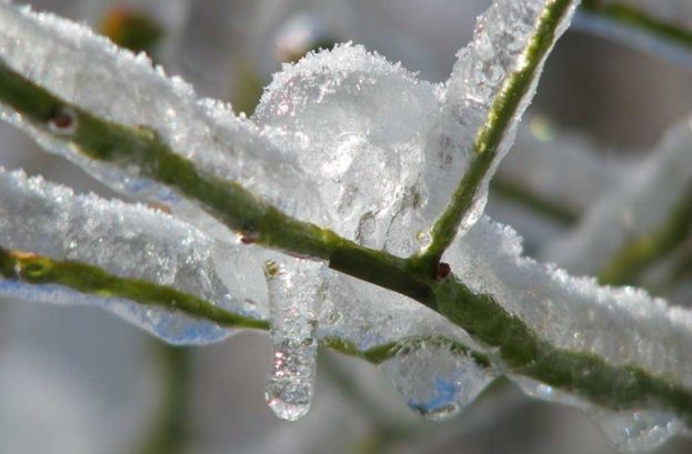 &Omicron;&iota; &epsilon;&pi;&iota;&delta;&rho;ά&sigma;&epsilon;&iota;&sigmaf; &tau;&omega;&nu; &chi;&alpha;&mu;&eta;&lambda;ώ&nu; &theta;&epsilon;&rho;&mu;&omicron;&kappa;&rho;&alpha;&sigma;&iota;ώ&nu; &sigma;&tau;&alpha; &omicron;&pi;&omega;&rho;&omicron;&phi;ό&rho;&alpha; &delta;έ&nu;&tau;&rho;&alpha;