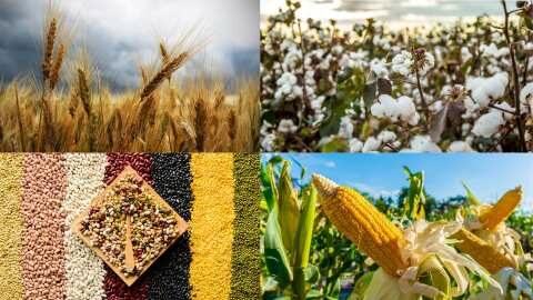 &laquo;&Kappa;&alpha;&tau;ά&rho;&gamma;&eta;&sigma;&eta;, &alpha;&pi;ό &tau;&omicron; 2025, &tau;&omega;&nu; &epsilon;&nu;&iota;&sigma;&chi;ύ&sigma;&epsilon;&omega;&nu; &gamma;&iota;&alpha; &kappa;&alpha;&lambda;&lambda;&iota;έ&rho;&gamma;&epsilon;&iota;&alpha; &sigma;&iota;&tau;&eta;&rho;ώ&nu;, &beta;&alpha;&mu;&beta;&alpha;&kappa;&iota;&omicron;ύ, &alpha;&rho;&alpha;&beta;ό&sigma;&iota;&tau;&omicron;&upsilon; &kappa;&alpha;&iota; &omicron;&sigma;&pi;&rho;ί&omega;&nu;&raquo; &epsilon;&rho;ώ&tau;&eta;&sigma;&eta; &Beta;&alpha;&sigma;ί&lambda;&eta; &Kappa;&omicron;&tau;ί&delta;&eta; &sigma;&tau;&omicron;&nu; &Upsilon;&Pi;&Alpha;&Alpha;&Tau;