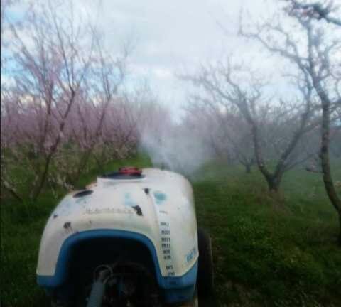 &Rho;&omicron;&delta;&alpha;&kappa;&iota;&nu;&iota;ά: &Omicron;&delta;&eta;&gamma;ί&epsilon;&sigmaf; &alpha;&nu;&tau;&iota;&mu;&epsilon;&tau;ώ&pi;&iota;&sigma;&eta;&sigmaf; &phi;&upsilon;&lambda;&lambda;&omicron;&delta;έ&tau;&eta; , &alpha;&nu;ά&rho;&sigma;&iota;&alpha;&sigmaf; &kappa;&alpha;&iota; &pi;&rho;ά&sigma;&iota;&nu;&eta;&sigmaf; &alpha;&phi;ί&delta;&alpha;&sigmaf;