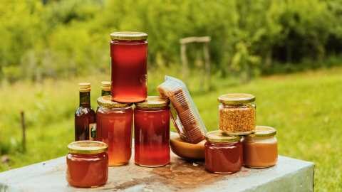 &Sigma;&tau;&omicron; &Phi;&epsilon;&sigma;&tau;&iota;&beta;ά&lambda; &epsilon;&lambda;&lambda;&eta;&nu;&iota;&kappa;&omicron;ύ &mu;&epsilon;&lambda;&iota;&omicron;ύ &eta; &Pi;&epsilon;&rho;&iota;&phi;έ&rho;&epsilon;&iota;&alpha; &Theta;&epsilon;&sigma;&sigma;&alpha;&lambda;ί&alpha;&sigmaf;