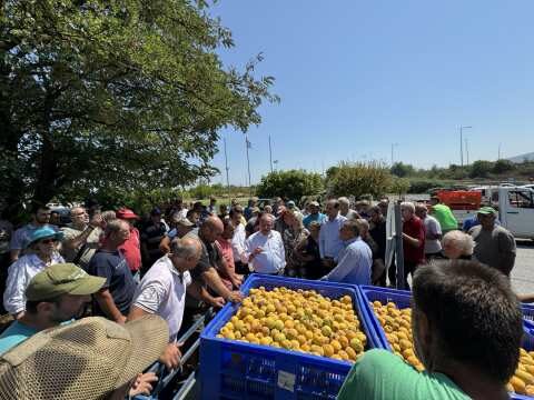 &Sigma;&tau;&iota;&sigmaf; &pi;&lambda;&eta;&gamma;&epsilon;ί&sigma;&epsilon;&sigmaf; &alpha;&pi;ό &chi;&alpha;&lambda;&alpha;&zeta;ό&pi;&tau;&omega;&sigma;&eta; &pi;&epsilon;&rho;&iota;&omicron;&chi;έ&sigmaf; &tau;&eta;&sigmaf; &Eta;&mu;&alpha;&theta;ί&alpha;&sigmaf; &omicron; &Upsilon;&phi;&Alpha;&Alpha;&Tau;, &Delta;&iota;&omicron;&nu;ύ&sigma;&eta;&sigmaf; &Sigma;&tau;&alpha;&mu;&epsilon;&nu;ί&tau;&eta;&sigmaf;