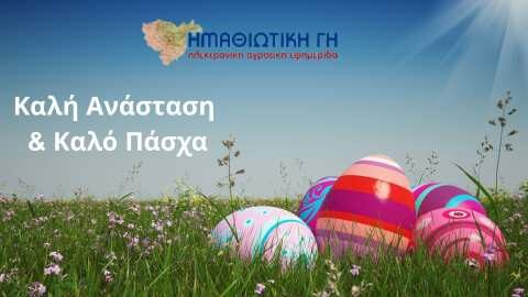 &Eta; IMATHIOTIKIGI.GR &sigma;&alpha;&sigmaf; &epsilon;ύ&chi;&epsilon;&tau;&alpha;&iota; &Kappa;&alpha;&lambda;ή &Alpha;&nu;ά&sigma;&tau;&alpha;&sigma;&eta; &amp; &Kappa;&alpha;&lambda;ό &Pi;ά&sigma;&chi;&alpha; !