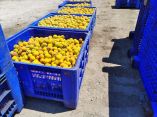 &Sigma;&upsilon;&nu;&delta;&epsilon;&delta;&epsilon;&mu;έ&nu;&eta; &epsilon;&nu;ί&sigma;&chi;&upsilon;&sigma;&eta;: Ό&lambda;&eta; &eta; &alpha;&lambda;ή&theta;&epsilon;&iota;&alpha; &gamma;&iota;&alpha; &tau;&eta;&nu; &alpha;&delta;&iota;&kappa;ί&alpha; &epsilon;&iota;&sigmaf; &beta;ά&rho;&omicron;&sigmaf; &tau;&omega;&nu; &rho;&omicron;&delta;&alpha;&kappa;&iota;&nu;&omicron;&pi;&alpha;&rho;&alpha;&gamma;&omega;&gamma;ώ&nu; (&Beta;ί&nu;&tau;&epsilon;&omicron;)