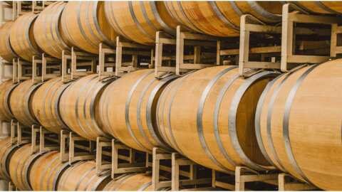 &Eta;&mu;έ&rho;&alpha; &Omicron;&iota;&nu;&omicron;&tau;&omicron;&upsilon;&rho;&iota;&sigma;&mu;&omicron;ύ: &Tau;&alpha; &omicron;&iota;&nu;&omicron;&pi;&omicron;&iota;&epsilon;ί&alpha; &gamma;&iota;&omicron;&rho;&tau;ά&zeta;&omicron;&upsilon;&nu; &kappa;&alpha;&iota; &upsilon;&pi;&omicron;&delta;έ&chi;&omicron;&nu;&tau;&alpha;&iota; &tau;&omicron;&upsilon;&sigmaf; &phi;ί&lambda;&omicron;&upsilon;&sigmaf; &tau;&omicron;&upsilon; &kappa;&rho;&alpha;&sigma;&iota;&omicron;ύ &tau;&eta;&nu; &Kappa;&upsilon;&rho;&iota;&alpha;&kappa;ή