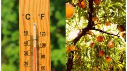 Έ&kappa;&tau;&alpha;&kappa;&tau;&omicron; &delta;&epsilon;&lambda;&tau;ί&omicron; &epsilon;&pi;&iota;&delta;&epsilon;ί&nu;&omega;&sigma;&eta;&sigmaf; &kappa;&alpha;&iota;&rho;&omicron;ύ: &Alpha;&nu;&alpha;&kappa;&omicron;ί&nu;&omega;&sigma;&eta; &alpha;&pi;ό &tau;&eta;&nu; &Alpha;&upsilon;&tau;&omicron;&tau;&epsilon;&lambda;ή &Delta;&iota;&epsilon;ύ&theta;&upsilon;&nu;&sigma;&eta; &Pi;&omicron;&lambda;&iota;&tau;&iota;&kappa;ή&sigmaf; &Pi;&rho;&omicron;&sigma;&tau;&alpha;&sigma;ί&alpha;&sigmaf; &tau;&eta;&sigmaf; &Pi;&Kappa;&Mu;