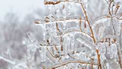 &Sigma;&epsilon; &pi;&omicron;&iota;&epsilon;&sigmaf; &pi;&epsilon;&rho;&iota;&omicron;&chi;έ&sigmaf; &tau;&eta;&sigmaf; &Kappa;&epsilon;&nu;&tau;&rho;&iota;&kappa;ή&sigmaf; &Mu;&alpha;&kappa;&epsilon;&delta;&omicron;&nu;ί&alpha;&sigmaf; &alpha;&nu;&alpha;&mu;έ&nu;&epsilon;&tau;&alpha;&iota; &pi;&alpha;&gamma;&epsilon;&tau;ό&sigmaf; &alpha;&pi;ό &alpha;&pi;ό&psi;&epsilon;