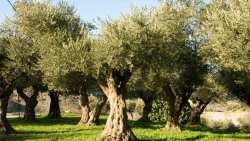 &Alpha;&nu;&alpha;&kappa;&omicron;ί&nu;&omega;&sigma;&eta; &gamma;&iota;&alpha; &tau;&iota;&sigmaf; &theta;&epsilon;&mu;&alpha;&tau;&iota;&kappa;έ&sigmaf; &epsilon;&nu;ό&tau;&eta;&tau;&epsilon;&sigmaf; &tau;&omicron;&upsilon; &sigma;&upsilon;&nu;&epsilon;&delta;&rho;ί&omicron;&upsilon; &tau;&eta;&sigmaf; 4&Epsilon;  "&Sigma;ύ&gamma;&chi;&rho;&omicron;&nu;&epsilon;&sigmaf; &mu;&omicron;&rho;&phi;έ&sigmaf; &delta;&alpha;&kappa;&omicron;&pi;&rho;&omicron;&sigma;&tau;&alpha;&sigma;ί&alpha;&sigmaf; &tau;&omega;&nu; &epsilon;&lambda;&alpha;&iota;ώ&nu;&omega;&nu;"