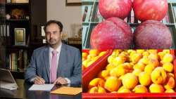 &Delta;ή&mu;&alpha;&rho;&chi;&omicron;&sigmaf; &Beta;έ&rho;&omicron;&iota;&alpha;&sigmaf;: "&Epsilon;&pi;&iota;&beta;ά&lambda;&lambda;&epsilon;&tau;&alpha;&iota; &lambda;ύ&sigma;&eta; &sigma;&tau;&alpha; &pi;&rho;&omicron;&beta;&lambda;ή&mu;&alpha;&tau;&alpha; &delta;&iota;ά&theta;&epsilon;&sigma;&eta;&sigmaf; &kappa;&alpha;&iota; &tau;&iota;&mu;ή&sigmaf; &tau;&omicron;&upsilon; &sigma;&upsilon;&mu;&pi;ύ&rho;&eta;&nu;&omicron;&upsilon; &rho;&omicron;&delta;ά&kappa;&iota;&nu;&omicron;&upsilon;"