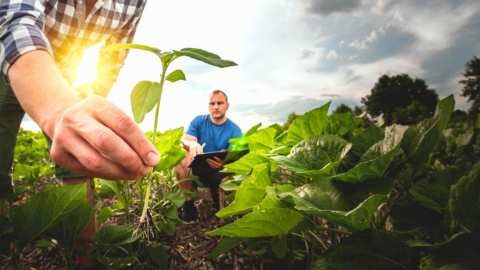 &Epsilon;&Epsilon;: &Tau;&omicron; ό&rho;&alpha;&mu;ά &mu;&alpha;&sigmaf; &gamma;&iota;&alpha; &tau;&eta; &gamma;&epsilon;&omega;&rho;&gamma;ί&alpha; &kappa;&alpha;&iota; &tau;&alpha; &tau;&rho;ό&phi;&iota;&mu;&alpha;