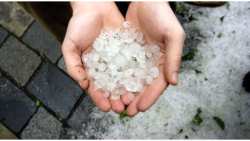 Ά&mu;&epsilon;&sigma;&eta; &epsilon;&xi;ό&phi;&lambda;&eta;&sigma;&eta; &tau;&omega;&nu; &alpha;&pi;&omicron;&zeta;&eta;&mu;&iota;ώ&sigma;&epsilon;&omega;&nu; &sigma;&tau;&omicron;&upsilon;&sigmaf; &pi;&alpha;&rho;&alpha;&gamma;&omega;&gamma;&omicron;ύ&sigmaf; &tau;&eta;&sigmaf; &Pi;έ&lambda;&lambda;&alpha;&sigmaf; &kappa;&alpha;&iota; &Eta;&mu;&alpha;&theta;ί&alpha;&sigmaf; (2023) &zeta;&eta;&tau;ά &eta; &Theta;&epsilon;&omicron;&delta;ώ&rho;&alpha; &Tau;&zeta;ά&kappa;&rho;&eta;