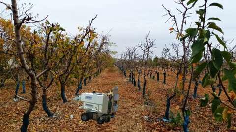 Έ&lambda;&epsilon;&gamma;&chi;&omicron;&sigmaf; &kappa;&alpha;&iota; &epsilon;&xi;ό&nu;&tau;&omega;&sigma;&eta; &zeta;&iota;&zeta;&alpha;&nu;ί&omega;&nu; &mu;&epsilon; "&rho;&omicron;&mu;&pi;ό&tau; &zeta;&iota;&zeta;&alpha;&nu;&iota;&omicron;&kappa;&tau;&omicron;&nu;ί&alpha;&sigmaf;" | &Alpha;&gamma;&rho;&omicron;&tau;&iota;&kappa;ά &nu;έ&alpha; IMATHIOTIKIGI.GR
