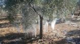 O &pi;&alpha;&gamma;&epsilon;&tau;ό&sigmaf; &mu;&pi;&omicron;&rho;&epsilon;ί &nu;&alpha; &beta;&lambda;ά&psi;&epsilon;&iota; &tau;&eta;&nu; &epsilon;&lambda;&iota;ά &sigma;&epsilon; &delta;&iota;&alpha;&phi;ό&rho;&omicron;&upsilon;&sigmaf; &beta;&alpha;&theta;&mu;&omicron;ύ&sigmaf; - &Pi;&omega;&sigmaf; &mu;&pi;&omicron;&rho;&omicron;ύ&mu;&epsilon; &nu;&alpha; &tau;&omicron; &delta;&iota;&alpha;&chi;&epsilon;&iota;&rho;&iota;&sigma;&tau;&omicron;ύ&mu;&epsilon;