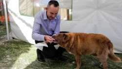 &Pi;έ&theta;&alpha;&nu;&epsilon; &sigma;&epsilon; &eta;&lambda;&iota;&kappa;ί&alpha; 31 &epsilon;&tau;ώ&nu; &omicron; &Mu;&pi;ό&mu;&pi;&iota;, &omicron; &gamma;&eta;&rho;&alpha;&iota;ό&tau;&epsilon;&rho;&omicron;&sigmaf; &sigma;&kappa;ύ&lambda;&omicron;&sigmaf; &sigma;&tau;&omicron;&nu; &kappa;ό&sigma;&mu;&omicron;