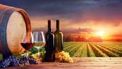 &Gamma;&epsilon;&omega;&rho;&gamma;&iota;&kappa;έ&sigmaf; &pi;&rho;&omicron;&epsilon;&iota;&delta;&omicron;&pi;&omicron;&iota;ή&sigma;&epsilon;&iota;&sigmaf; &gamma;&iota;&alpha; &tau;&omicron; &Alpha;&mu;&pi;έ&lambda;&iota;