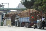 &Tau;ά&sigma;&omicron;&sigmaf; &Mu;&pi;&alpha;&rho;&tau;&zeta;ώ&kappa;&alpha;&sigmaf;: &Alpha;&nu;ά&gamma;&kappa;&eta; ά&mu;&epsilon;&sigma;&eta;&sigmaf; &epsilon;&nu;ί&sigma;&chi;&upsilon;&sigma;&eta;&sigmaf; &tau;&omega;&nu; &tau;&epsilon;&upsilon;&tau;&lambda;&omicron;&pi;&alpha;&rho;&alpha;&gamma;&omega;&gamma;ώ&nu;