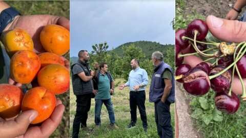 &Epsilon;&pi;ί&sigma;&kappa;&epsilon;&psi;&eta; &Lambda;ά&kappa;&eta; &Beta;&alpha;&sigma;&iota;&lambda;&epsilon;&iota;ά&delta;&eta; &sigma;&epsilon; &pi;&epsilon;&rho;&iota;&omicron;&chi;έ&sigmaf; &pi;&omicron;&upsilon; &epsilon;&pi;&lambda;ή&gamma;&eta;&sigma;&alpha;&nu; &alpha;&pi;ό &chi;&alpha;&lambda;ά&zeta;&iota; &kappa;&alpha;&iota; &beta;&rho;&omicron;&chi;ό&pi;&tau;&omega;&sigma;&eta; &sigma;&tau;&eta; &pi;&epsilon;&rho;&iota;&omicron;&chi;ή &tau;&eta;&sigmaf; Έ&delta;&epsilon;&sigma;&sigma;&alpha;&sigmaf;