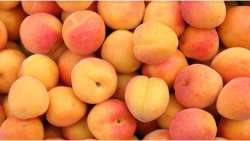 &Gamma;&epsilon;&nu;&nu;&eta;&mu;έ&nu;&epsilon;&sigmaf; &gamma;&iota;&alpha; &nu;&alpha; &alpha;&nu;&tau;&iota;&mu;&epsilon;&tau;&omega;&pi;ί&sigma;&omicron;&upsilon;&nu; &tau;&eta;&nu; &kappa;&lambda;&iota;&mu;&alpha;&tau;&iota;&kappa;ή &alpha;&lambda;&lambda;&alpha;&gamma;ή! &Epsilon;&tau;&omicron;&iota;&mu;&omicron;&pi;ό&lambda;&epsilon;&mu;&epsilon;&sigmaf; &Nu;έ&epsilon;&sigmaf; &pi;&omicron;&iota;&kappa;&iota;&lambda;ί&epsilon;&sigmaf; &sigma;&tau;&omicron; &Beta;&epsilon;&rho;ί&kappa;&omicron;&kappa;&omicron;!