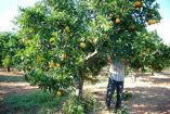 &Mu;&epsilon; &pi;&rho;&omega;&tau;&omicron;&beta;&omicron;&upsilon;&lambda;ί&alpha; &Tau;ά&sigma;&omicron;&upsilon; &Mu;&pi;&alpha;&rho;&tau;&zeta;ώ&kappa;&alpha; &upsilon;&pi;&epsilon;&beta;&lambda;ή&theta;&eta; &Kappa;&omicron;&iota;&nu;&omicron;&beta;&omicron;&upsilon;&lambda;&epsilon;&upsilon;&tau;&iota;&kappa;ή &Epsilon;&rho;ώ&tau;&eta;&sigma;&eta; &gamma;&iota;&alpha; &tau;&omicron; &delta;&upsilon;&sigma;&mu;&epsilon;&nu;έ&sigmaf; &kappa;&alpha;&theta;&epsilon;&sigma;&tau;ώ&sigmaf; &tau;&omega;&nu; &epsilon;&rho;&gamma;&alpha;&tau;ώ&nu; &gamma;&eta;&sigmaf;