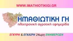 &Eta; &Eta;&Mu;&Alpha;&Theta;&Iota;&Omega;&Tau;&Iota;&Kappa;&Eta; &Gamma;&Eta; &kappa;&lambda;&epsilon;ί&nu;&epsilon;&iota; 6 &Chi;&rho;ό&nu;&iota;&alpha; Έ&gamma;&kappa;&upsilon;&rho;&eta;&sigmaf; &amp; Έ&gamma;&kappa;&alpha;&iota;&rho;&eta;&sigmaf; &epsilon;&nu;&eta;&mu;έ&rho;&omega;&sigma;&eta;&sigmaf; &kappa;&alpha;&iota; &epsilon;&upsilon;&chi;&alpha;&rho;&iota;&sigma;&tau;&epsilon;ί &tau;&omicron;&nu; &alpha;&gamma;&rho;&omicron;&tau;&iota;&kappa;ό &kappa;ό&sigma;&mu;&omicron; &gamma;&iota;&alpha; &tau;&eta;&nu; &epsilon;&mu;&pi;&iota;&sigma;&tau;&omicron;&sigma;ύ&nu;&eta; &tau;&omicron;&upsilon;