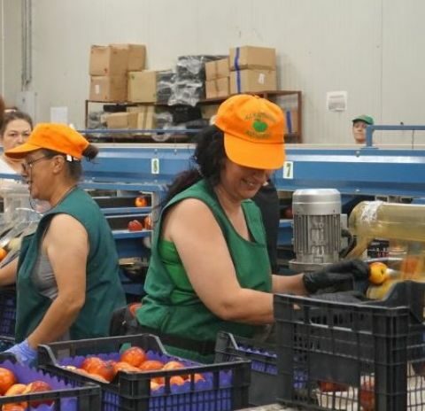 &Kappa;&alpha;&tau;&alpha;&tau;έ&theta;&eta;&kappa;&epsilon; &eta; &tau;&rho;&omicron;&pi;&omicron;&lambda;&omicron;&gamma;ί&alpha; &gamma;&iota;&alpha; &tau;&omicron;&upsilon;&sigmaf; &epsilon;&pi;&omicron;&chi;&iota;&kappa;&omicron;ύ&sigmaf; &epsilon;&rho;&gamma;&alpha;&zeta;ό&mu;&epsilon;&nu;&omicron;&upsilon;&sigmaf;