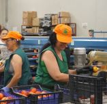 &Kappa;&alpha;&tau;&alpha;&tau;έ&theta;&eta;&kappa;&epsilon; &eta; &tau;&rho;&omicron;&pi;&omicron;&lambda;&omicron;&gamma;ί&alpha; &gamma;&iota;&alpha; &tau;&omicron;&upsilon;&sigmaf; &epsilon;&pi;&omicron;&chi;&iota;&kappa;&omicron;ύ&sigmaf; &epsilon;&rho;&gamma;&alpha;&zeta;ό&mu;&epsilon;&nu;&omicron;&upsilon;&sigmaf;