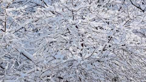 &Eta; &chi;&iota;&omicron;&nu;&iota;&sigma;&mu;έ&nu;&eta; National Arena &sigma;&tau;&omicron; &Beta;&omicron;&upsilon;&kappa;&omicron;&upsilon;&rho;έ&sigma;&tau;&iota; &kappa;&alpha;&iota; &eta; &pi;&rho;ό&gamma;&nu;&omega;&sigma;&eta; &gamma;&iota;&alpha; -8 &beta;&alpha;&theta;&mu;&omicron;ύ&sigmaf; &tau;&eta;&nu; ώ&rho;&alpha; &tau;&omicron;&upsilon; &alpha;&gamma;ώ&nu;&alpha; &Sigma;&tau;&epsilon;ά&omicron;&upsilon;&alpha;-&Pi;&Alpha;&Omicron;&Kappa;