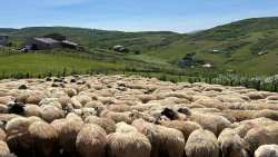 &Upsilon;&Pi;&Alpha;&Alpha;&Tau;: &Kappa;&omicron;&iota;&nu;ό &mu;έ&tau;&omega;&pi;&omicron; &kappa;&upsilon;&beta;έ&rho;&nu;&eta;&sigma;&eta;&sigmaf; &Pi;&epsilon;&rho;&iota;&phi;&epsilon;&rho;&epsilon;&iota;&alpha;&rho;&chi;ώ&nu; &kappa;&alpha;&tau;ά &tau;&eta;&sigmaf; &epsilon;&upsilon;&lambda;&omicron;&gamma;&iota;ά&sigmaf;