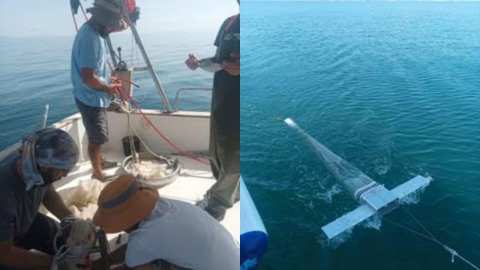 &Tau;&alpha; &sigma;&upsilon;&mu;&pi;&epsilon;&rho;ά&sigma;&mu;&alpha;&tau;&alpha; &tau;&omicron;&upsilon; &Iota;&Nu;&Alpha;&Lambda;&Epsilon; &kappa;&alpha;&tau;&alpha;&rho;&rho;ί&pi;&tau;&omicron;&upsilon;&nu; &alpha;&nu;&tau;&iota;&epsilon;&pi;&iota;&sigma;&tau;&eta;&mu;&omicron;&nu;&iota;&kappa;έ&sigmaf; &epsilon;&kappa;&tau;&iota;&mu;ή&sigma;&epsilon;&iota;&sigmaf; &kappa;&alpha;&iota; fakenews &gamma;&iota;&alpha; &tau;&omicron;&nu; &Pi;&alpha;&gamma;&alpha;&sigma;&eta;&tau;&iota;&kappa;ό &kappa;ό&lambda;&pi;&omicron;